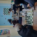 برگزاری مسابقات شطرنج ویژه اعضای سازمان
